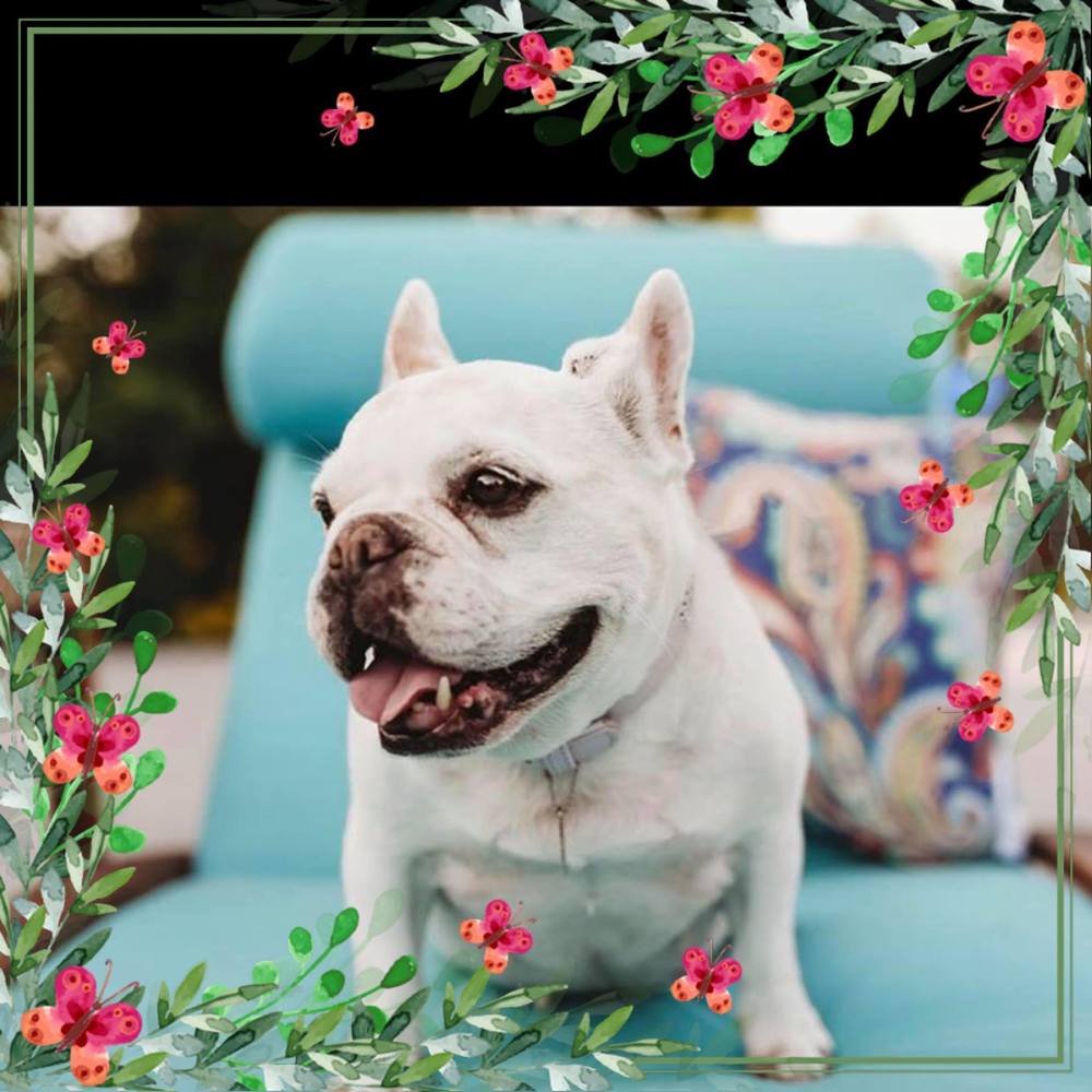 Meet your Posher, Elle